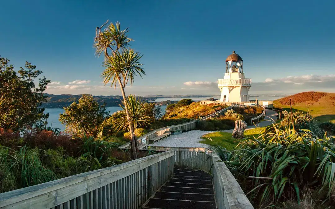 Live Webinar: New Zealand Skilled Visas Explained