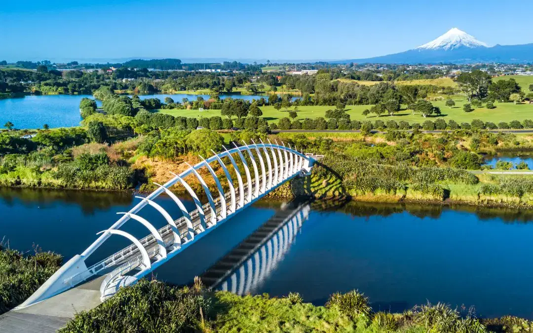 Meet the Team – Niamh Fitzsimons